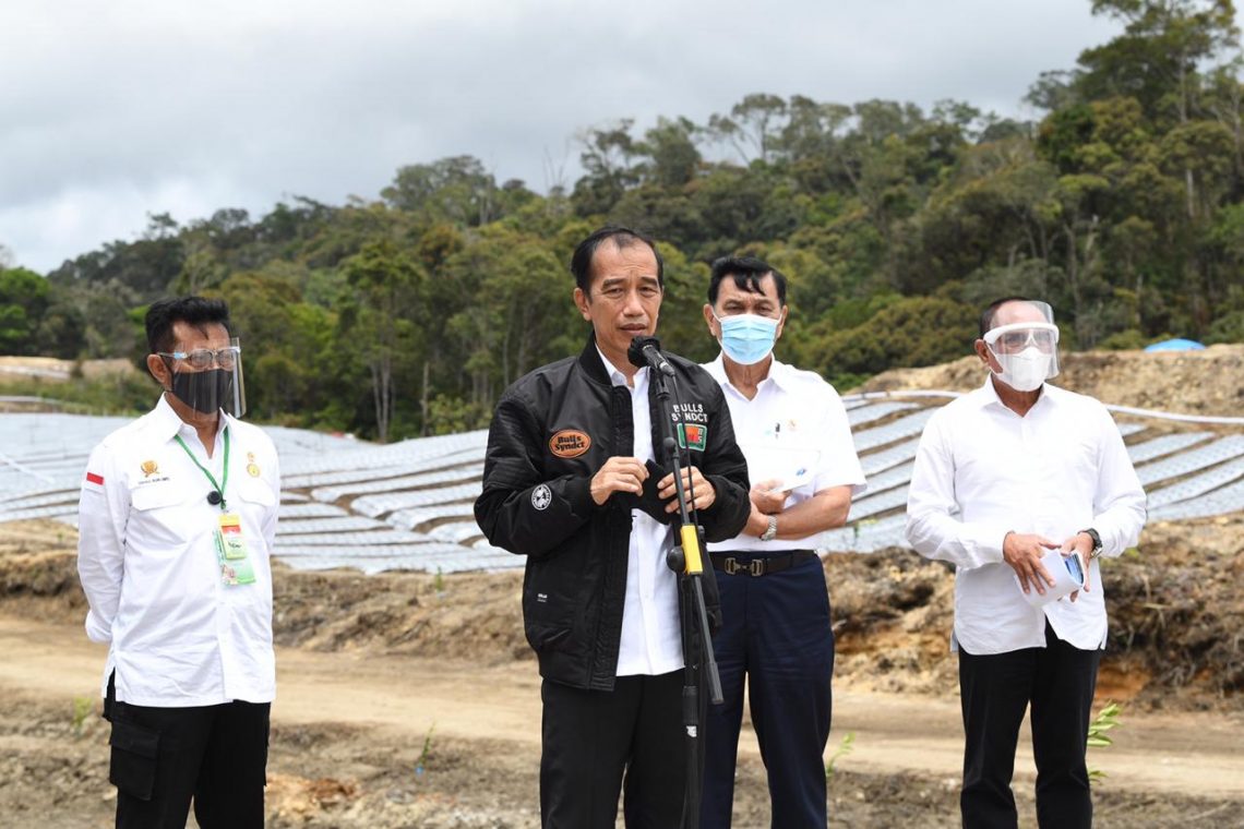 Presiden Jokowi Didampingi Mentan Syl Tinjau Food Estate Di Kabupaten