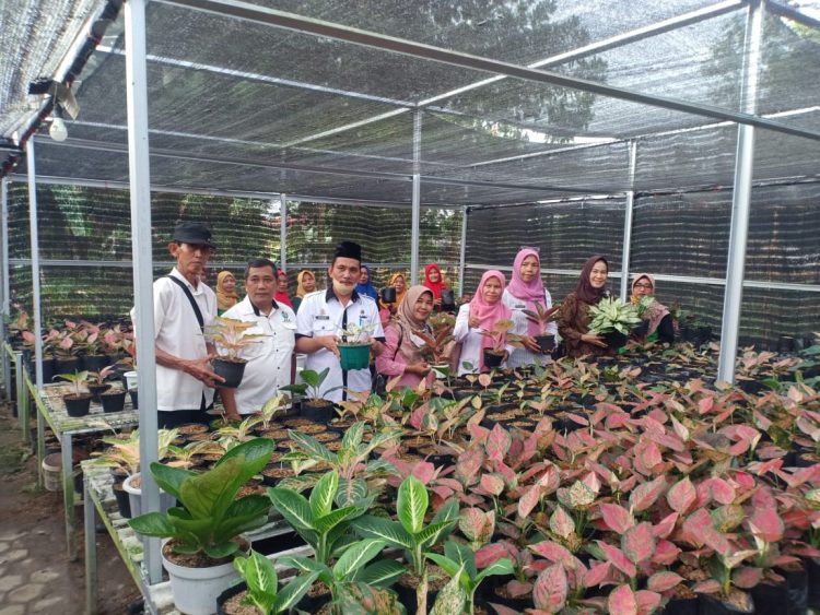 Miliki Agrowisata Aglaonema Lampung Tengah Siap Kembangkan Kampung