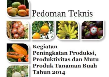 Pedoman Teknis Buah