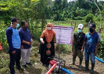 Antisipasi Dampak Kemarau di Sumatera, Kementan Siapkan Sejumlah Strategi