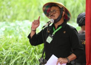 Mentan Syahrul: Jadikan Sektor Pertanian Sebagai Penyelamat Krisis