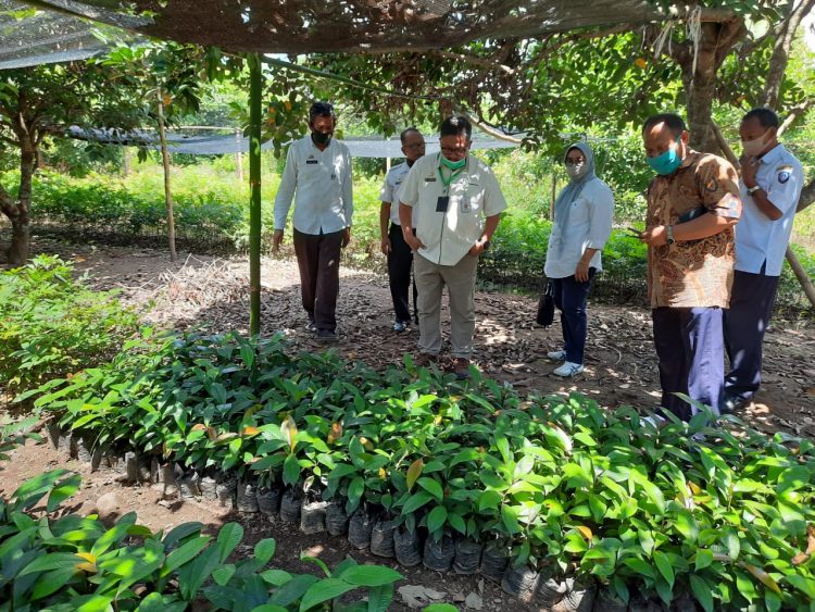 Benih Bermutu Jadi Kunci Utama Ungkit Daya Saing Komoditas Hortikultura