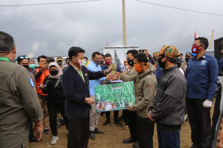 Mentan SYL Panen Bawang Merah di Bantaeng