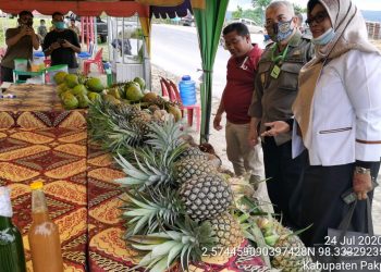 Nanas Pakpak, Ikon dari Ujung Barat Sumatera yang Siap Tembus Pasar Ekspor