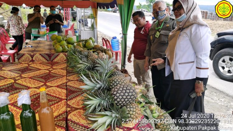 Nanas Pakpak, Ikon dari Ujung Barat Sumatera yang Siap Tembus Pasar Ekspor