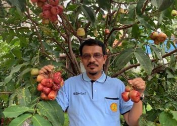 Tren Budidaya Hortikultura Semakin Meningkat di Era Pandemi Covid -19