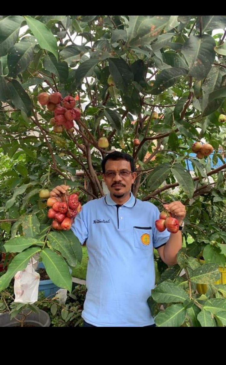 Tren Budidaya Hortikultura Semakin Meningkat di Era Pandemi Covid -19