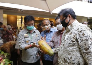 Tingkatkan Laju Ekspor, Kementan Fokus Budidaya Buah Nasional