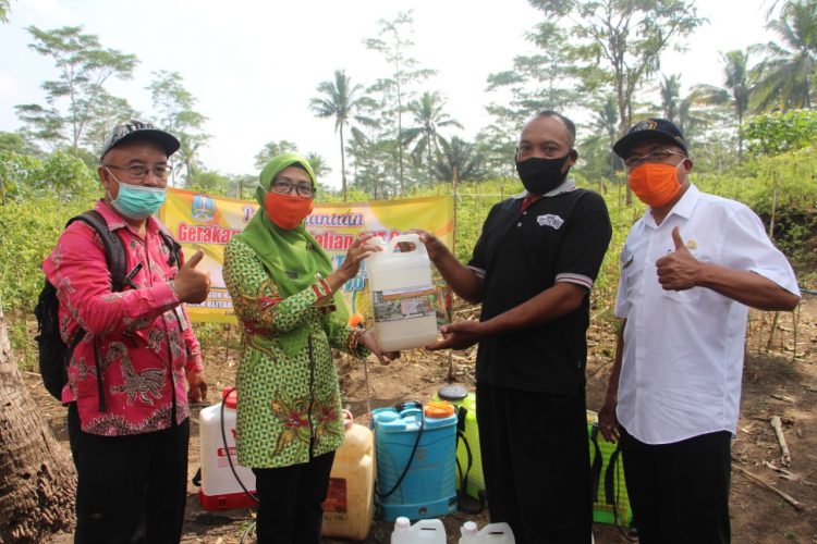 Atasi Patek, Petani Cabai Bisa Gunakan Paket Agens Hayati