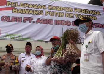 Sambut HUT Kemerdekaan ke-75, Indonesia Ekspor Bawang Putih