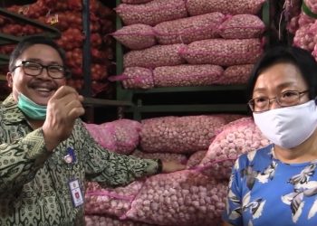 Lagi, Indonesia Ekspor Bawang Putih ke Taiwan