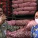 Lagi, Indonesia Ekspor Bawang Putih ke Taiwan