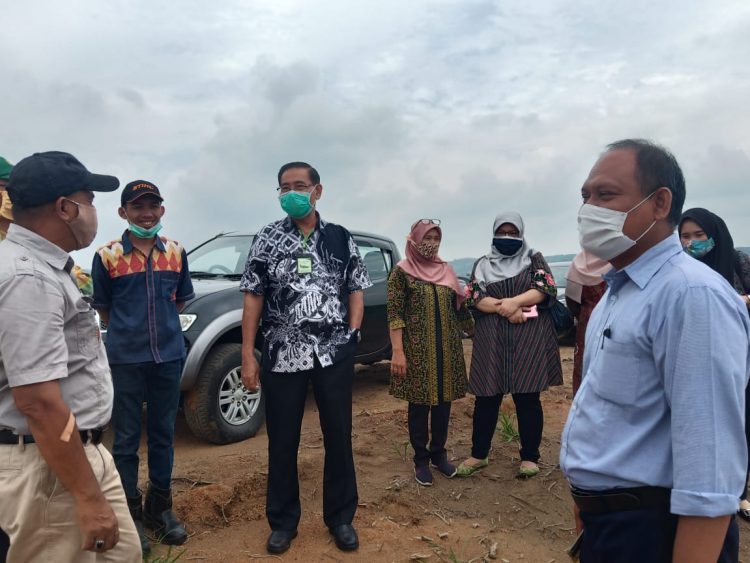 BBH Bengkulu Hasilkan Benih Hortikultura Berkualitas