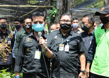 Mentan Syahrul Dorong Kabupaten Malang Jadi Penghasil Bibit Alpukat Berkualitas