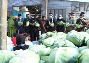 Dari Jatim, Mentan Syahrul Lepas Ekspor Kubis ke Taiwan