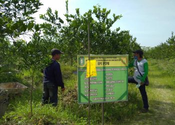 PANDEMI COVID -19 TAK HALANGI PELATIHAN PPHT JERUK