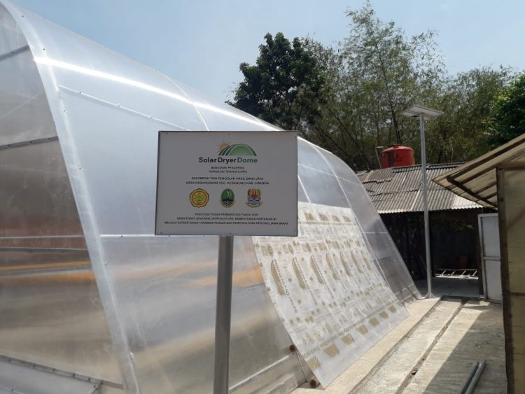 Solar Dryer dari Kementan Tingkatkan Nilai Tambah Produk Mangga di Tingkat Petani