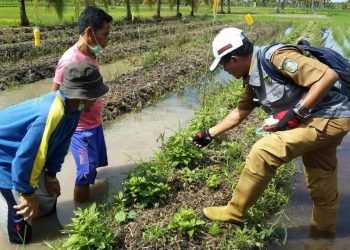 Kementan Sigap Tangani Dampak Perubahan Iklim di Kalimantan Barat
