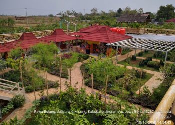 Percepat Pemulihan Ekonomi Nasional, Kementan Dorong Agroeduwisata