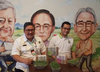 Makin Diminati Masyarakat Perkotaan, Kementan Gairahkan Budidaya Urban Farming
