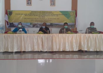 Dukung Food Estate Kalimantan Tengah, Kementan Adakan Bimbingan Teknologi Bagi Para Petani