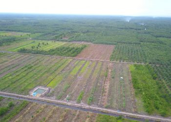 Proyek Kampung Buah di Sentra Kepulauan Borneo