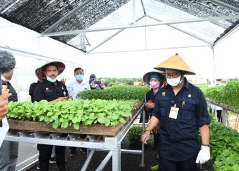 Mentan SYL: Perkuat Ketahanan Pangan Berawal dari Skala Rumah Tangga