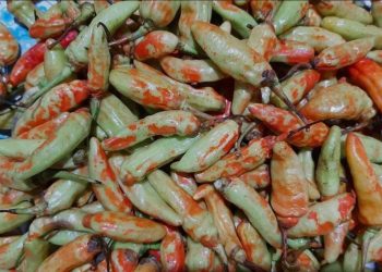 Beredar Cabai Berpewarna, Dirjen Hortikultura: Masyarakat Tidak Perlu Resah, Oknum Sudah Tertangkap