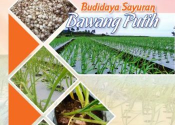 BUKU SAKU BAWANG PUTIH