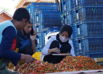 Meski Harga Cabai Masih Tinggi, Kementan Tegaskan Tak Perlu Impor