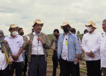 Menko Luhut Puas Progres Pengembangan Food Estate Humbahas