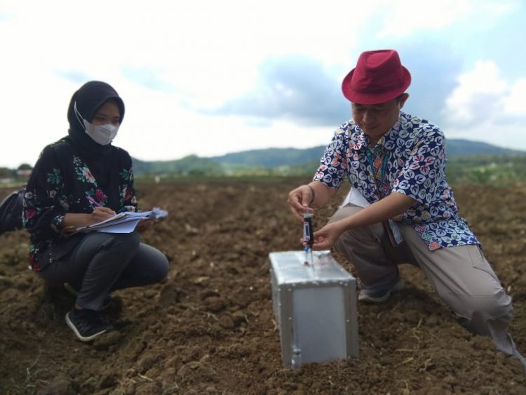 Terapkan Budidaya Hortikultura Ramah Lingkungan Bantul Siap Antisipasi Dampak Pemanasan Global