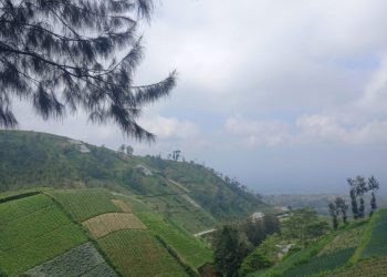 Boyolali Siap Amankan Pasokan Sayuran Selama Ramadan dan Lebaran