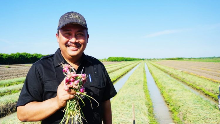 Harga Bawang Merah Tetap Stabil Hingga Lebaran, Petani Demak Sudah Panen