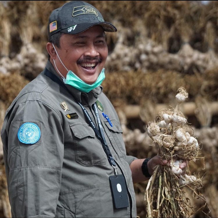 Benih Berkualitas Dorong Bawang Putih Lokal Berkembang Pesat di Lereng Gunung Sindoro-Sumbing