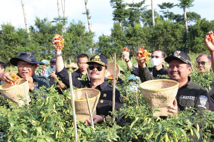 Bupati Sumedang: Terimakasih Kementan, Sektor Pertanian Penggerak Ekonomi dan Membuka Lapangan Pekerjaan