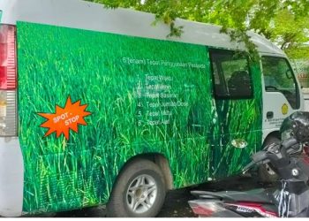 Penggunaan Fungisida Yang Tepat Dalam Mengendalikan Penyakit Tanaman