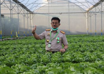 Arti dan peran penting Karantina Pertanian sebagai salah satu Strategi Pengendalian Penyakit Tanaman