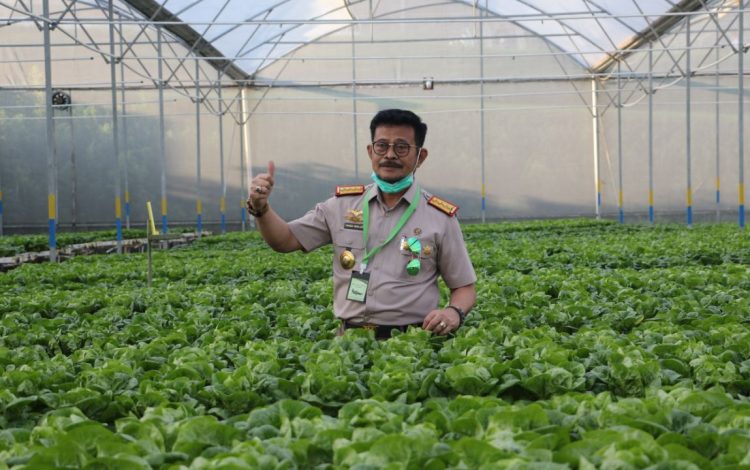 Arti dan peran penting Karantina Pertanian sebagai salah satu Strategi Pengendalian Penyakit Tanaman