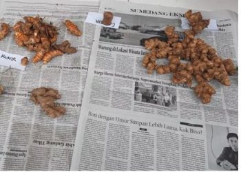 Pestisida Nabati sebagai Alternatif Bahan Pengendali OPT Hortikultura Ramah  Lingkungan dan Berkelanjutan