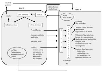 Pentingnya meningkatkan Resistensi pada Tanaman sebagai Ketahanan terhadap Penyakit