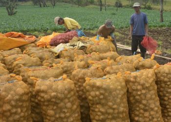 Pengendalian OPT Ramah Lingkungan dengan menggunakan Faktor Fisik