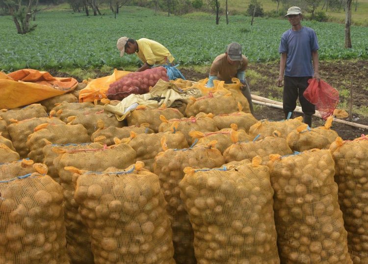 Pengendalian OPT Ramah Lingkungan dengan menggunakan Faktor Fisik