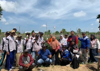 Pentingnya Pengelolaan OPT Dilakukan Secara Terpadu Pada Komoditas Hortikultura