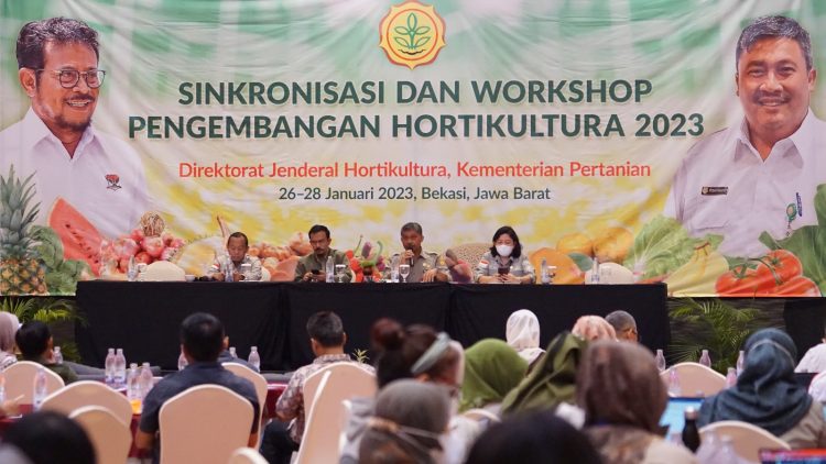 Kementan : Sinergi Pemerintah Pusat, Petani dan Pemda Diperlukan Guna Stabilisasi Cabai dan Bawang Merah