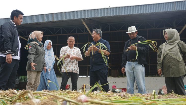 Brebes Amankan Kebutuhan Jabodetabek untuk Puasa dan Lebaran 2023