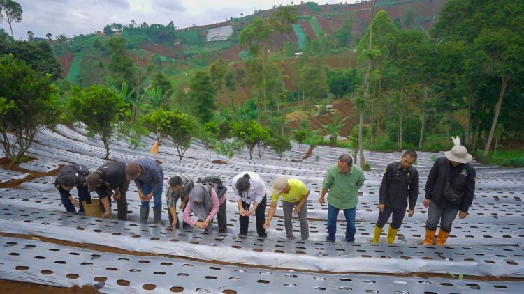 Bawang Merah Cimenyan – Bandung Banjiri Pasar Jelang Lebaran 2023
