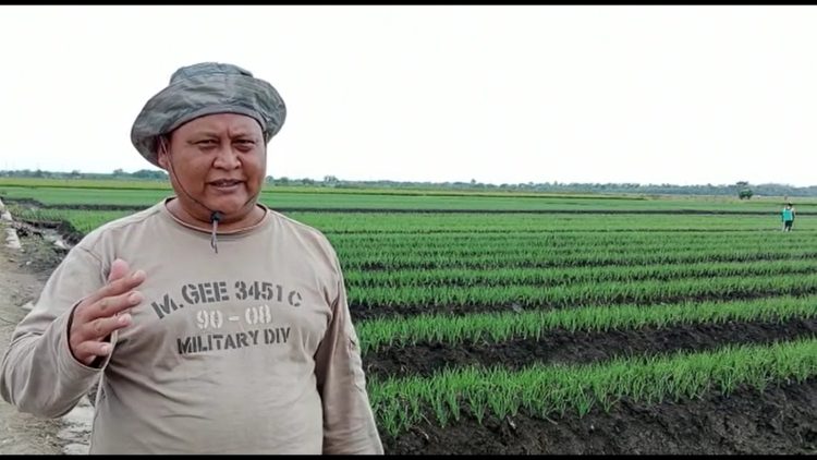 Diyakini Mampu Berproduksi 2000 ton, Tegal Siap Kawal Puasa dan Lebaran 2022