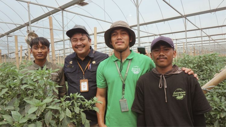 Budidaya dalam Screen House, Langkah Jitu Stabilkan Produksi Sayuran