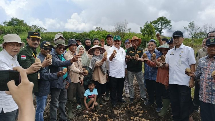 Jelang Idul Adha, Kementan Pastikan Produksi Sayuran Asal Kabupaten Solok Aman